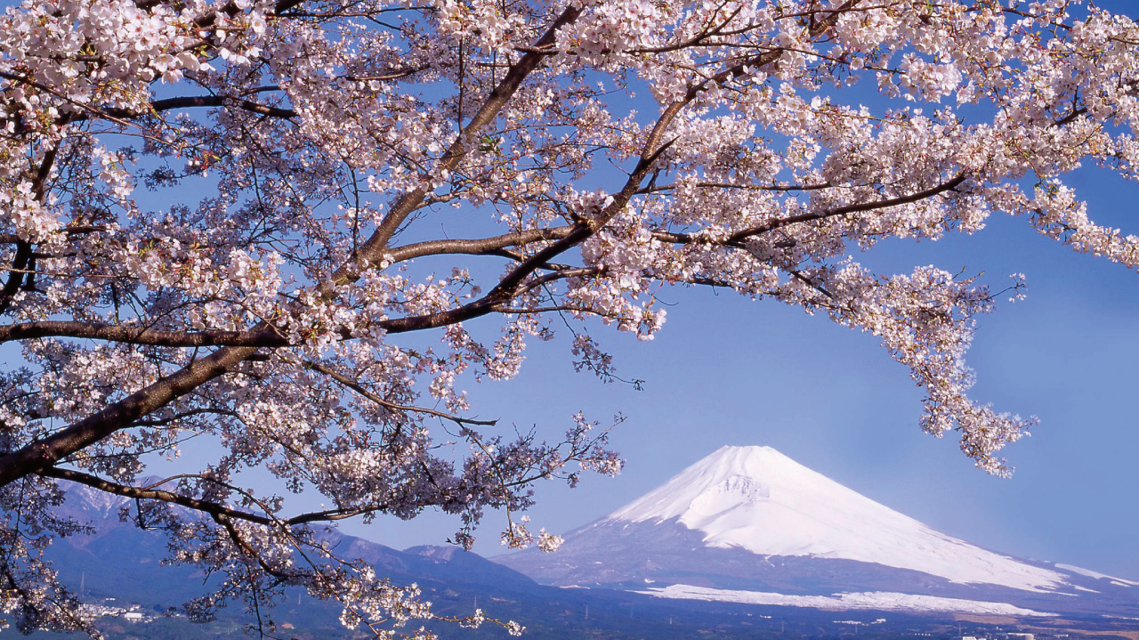 slide_02_1280x719.png